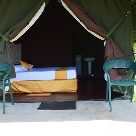 Wild Panthera Yala ทิซซามาฮารามา ภายนอก รูปภาพ