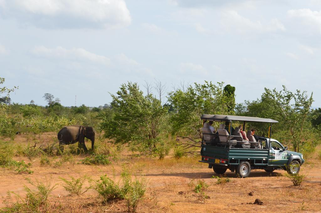 Wild Panthera Yala ทิซซามาฮารามา ภายนอก รูปภาพ
