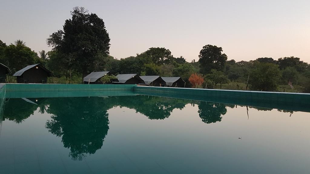 Wild Panthera Yala ทิซซามาฮารามา ภายนอก รูปภาพ