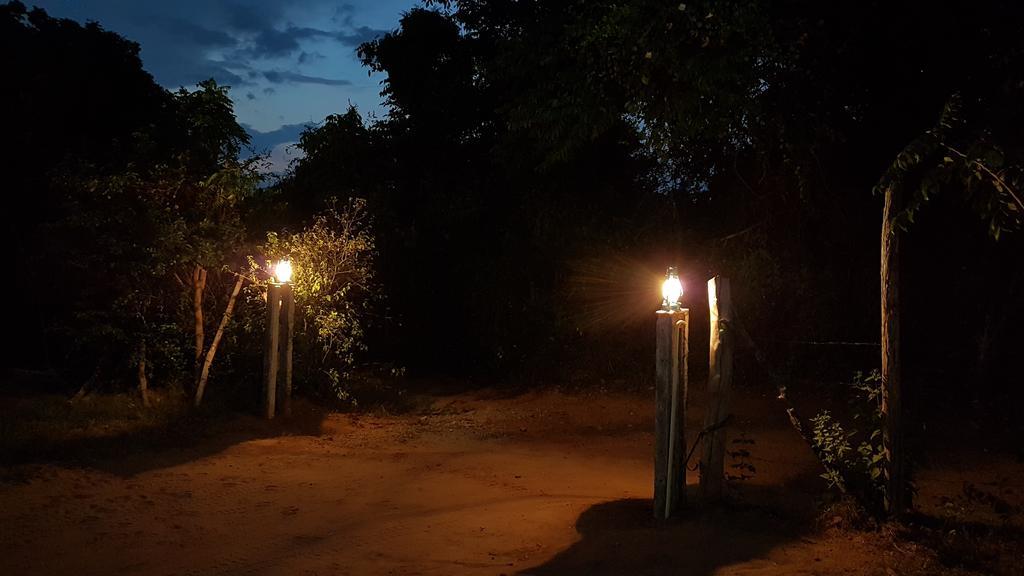 Wild Panthera Yala ทิซซามาฮารามา ภายนอก รูปภาพ