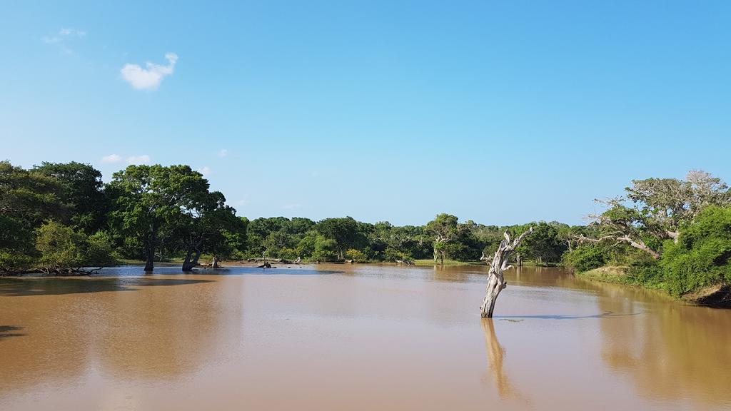 Wild Panthera Yala ทิซซามาฮารามา ภายนอก รูปภาพ