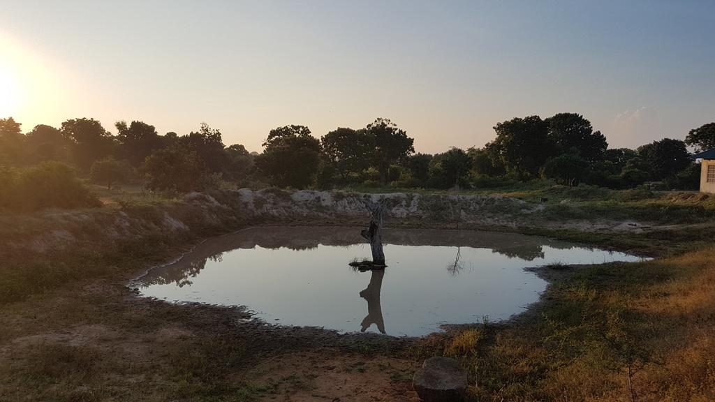 Wild Panthera Yala ทิซซามาฮารามา ภายนอก รูปภาพ
