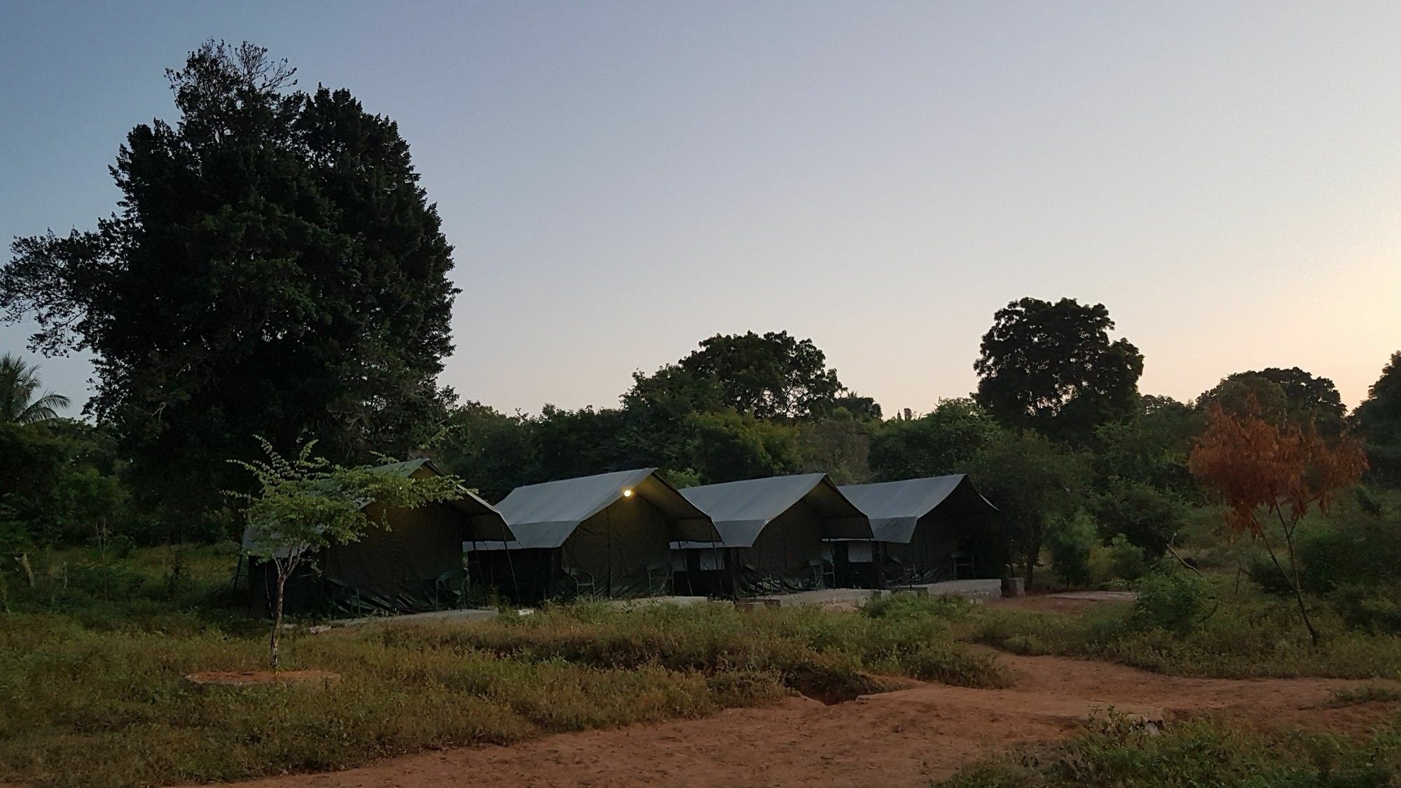 Wild Panthera Yala ทิซซามาฮารามา ภายนอก รูปภาพ