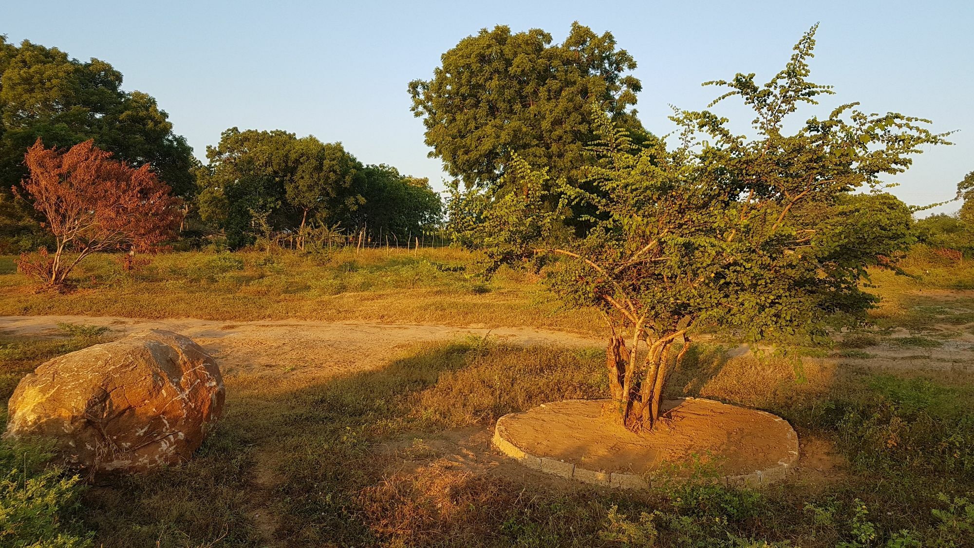 Wild Panthera Yala ทิซซามาฮารามา ภายนอก รูปภาพ
